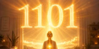 significado del número 1101