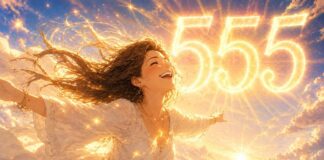 significado del número 555
